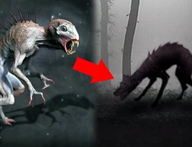 Βίντεο: 5 δημοφιλείς μύθοι που είναι αληθινοί!